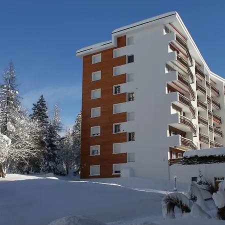 Foret B Crans-Montana